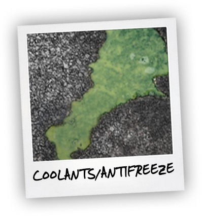 POLAROID - coolants_antifreez