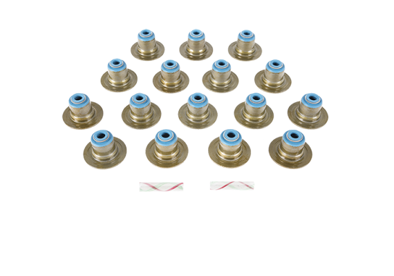 Engine_Repair_Valve_Stem_Seals_Header