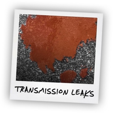 POLAROID - transmission